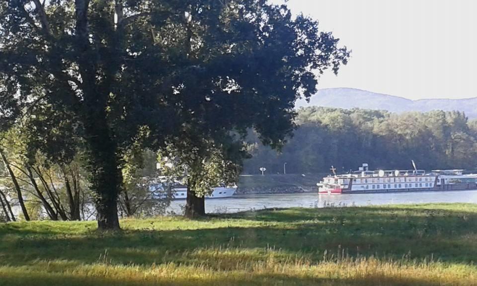 Gaestehaus Egger Emmersdorf an der Donau Bagian luar foto